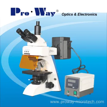 Professional Fluorescent Biological Microscope